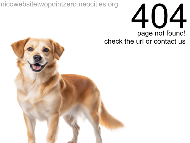 404
